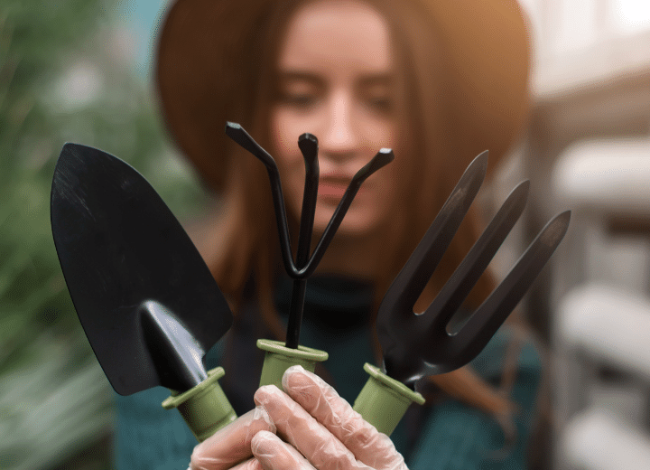 What is the Best Hand Gardening Tools