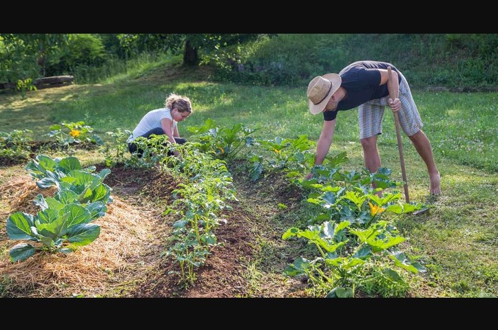 Permaculture Gardening