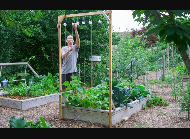 DIY Garden Trellis Ideas