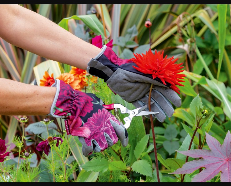 Flower Garden Maintenance