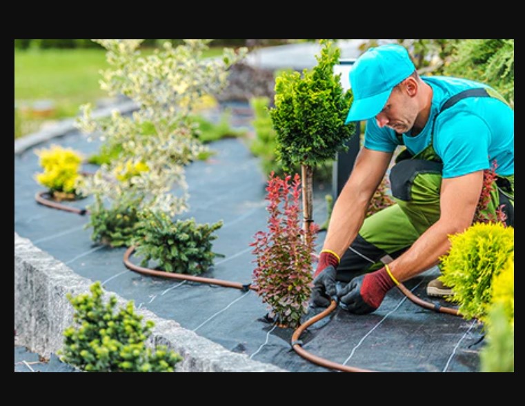 Garden Irrigation Systems