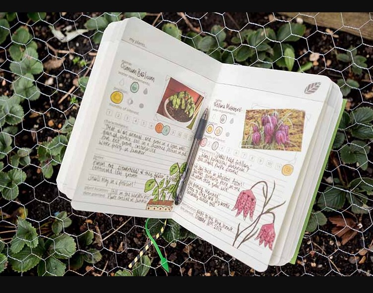 Garden Journaling Tips