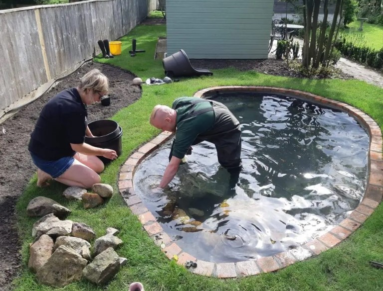 Garden Pond Construction