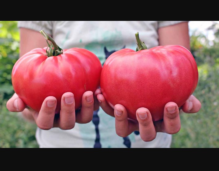 Heirloom Vegetable Varieties