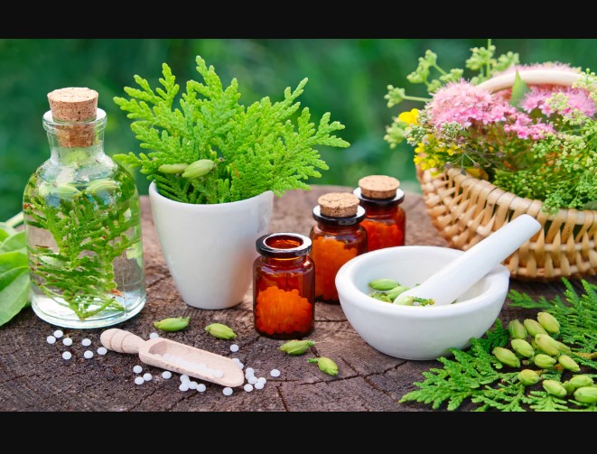 Medicinal Plants