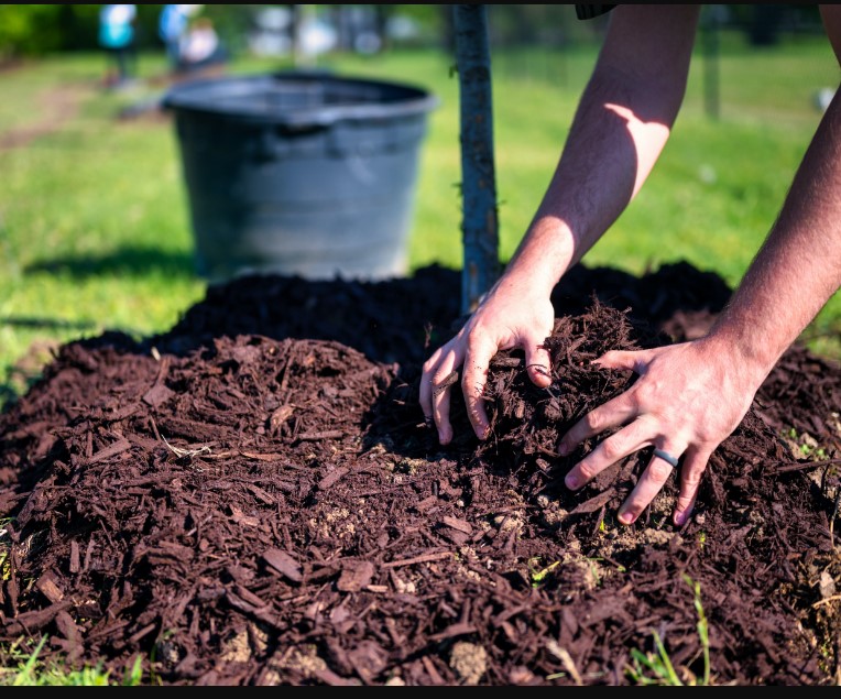 Mulching Benefits and Types