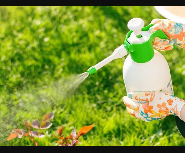Organic Pest Control Methods