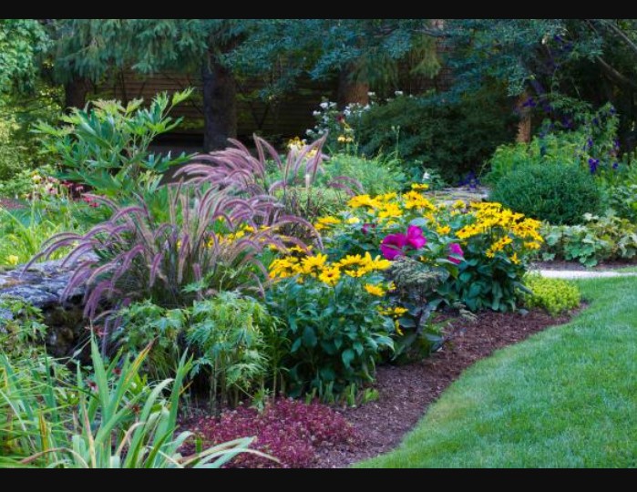 Perennial Garden Planning