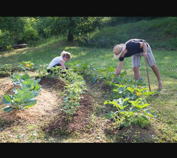 Permaculture Gardening Principles