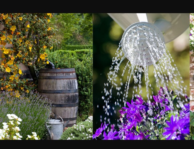 Rainwater Harvesting for Gardens