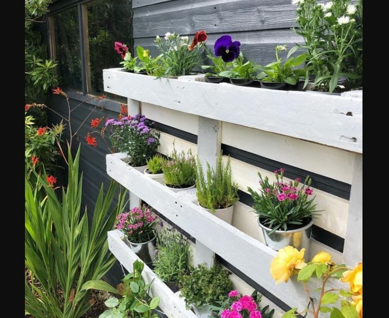 Vertical Garden DIY Projects