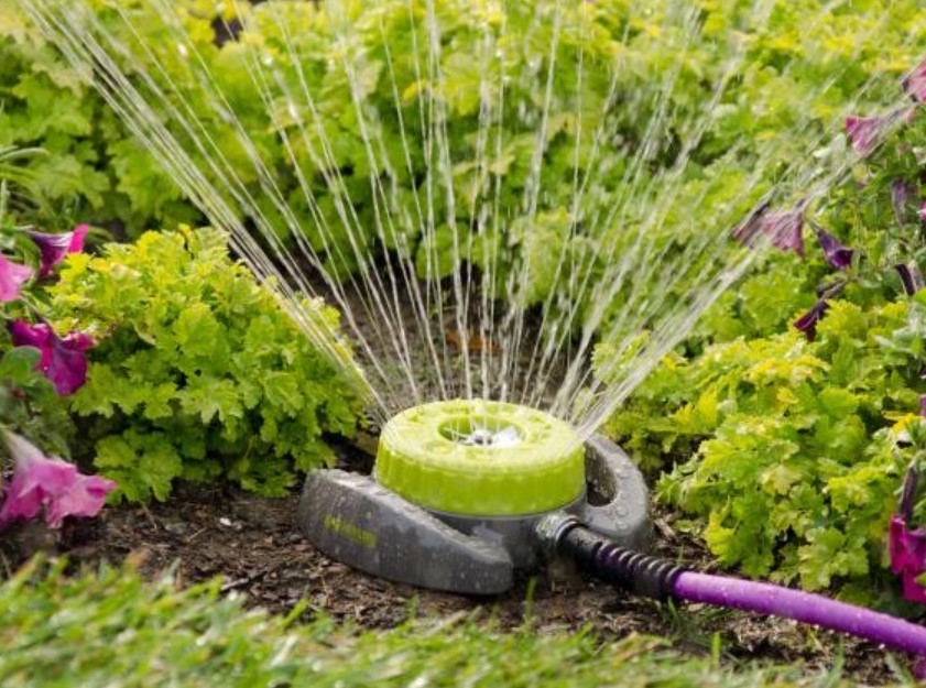 Water-Saving Tips for a Greener Garden