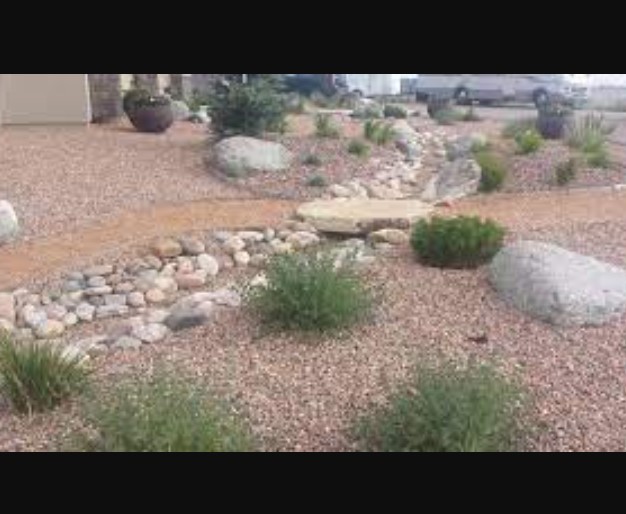 Xeriscaping Ideas