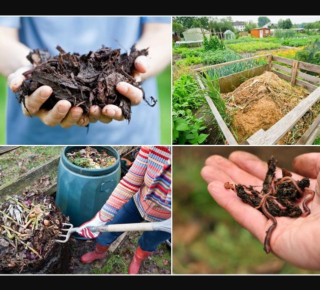 composting 101