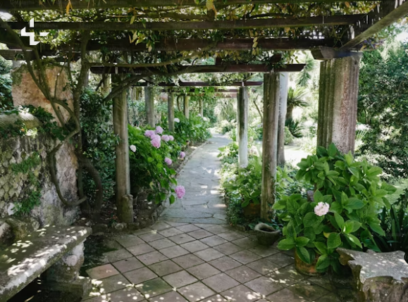 Mastering Garden Craftsmanship: The Art of Gardentistry